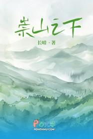 崇山之下免费阅读
