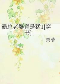 霸总老婆甜又宠