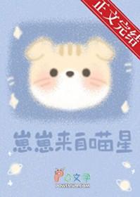 崽崽 起源