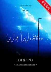 潮湿天气作者宋昭讲的什么
