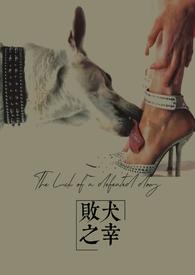 败犬什么意思