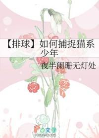 排球少年猫又