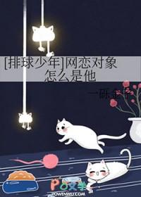 排球少年恋爱完结