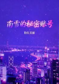 南雪集团的产品图片