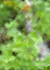 新芽图片