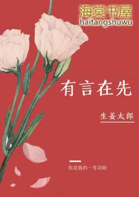 有言在先abo书评