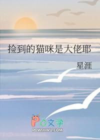 捡到猫什么意思