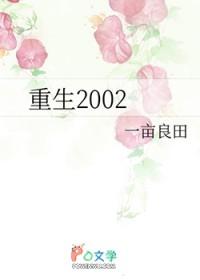 重生2002晋江