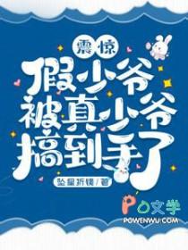 震惊假少爷被真少爷搞到手了txt盘