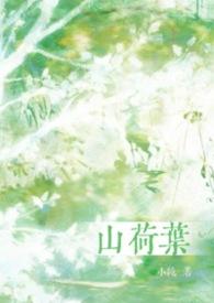 山荷叶合剂的作用与功效