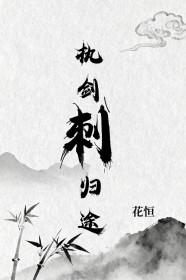 电视剧执剑人