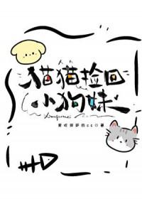 捡到猫的视频