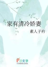 家有清冷娇妻gl免费