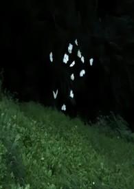 兄妹骨科 知乎