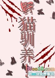野猫驯养!魏承泽TXT